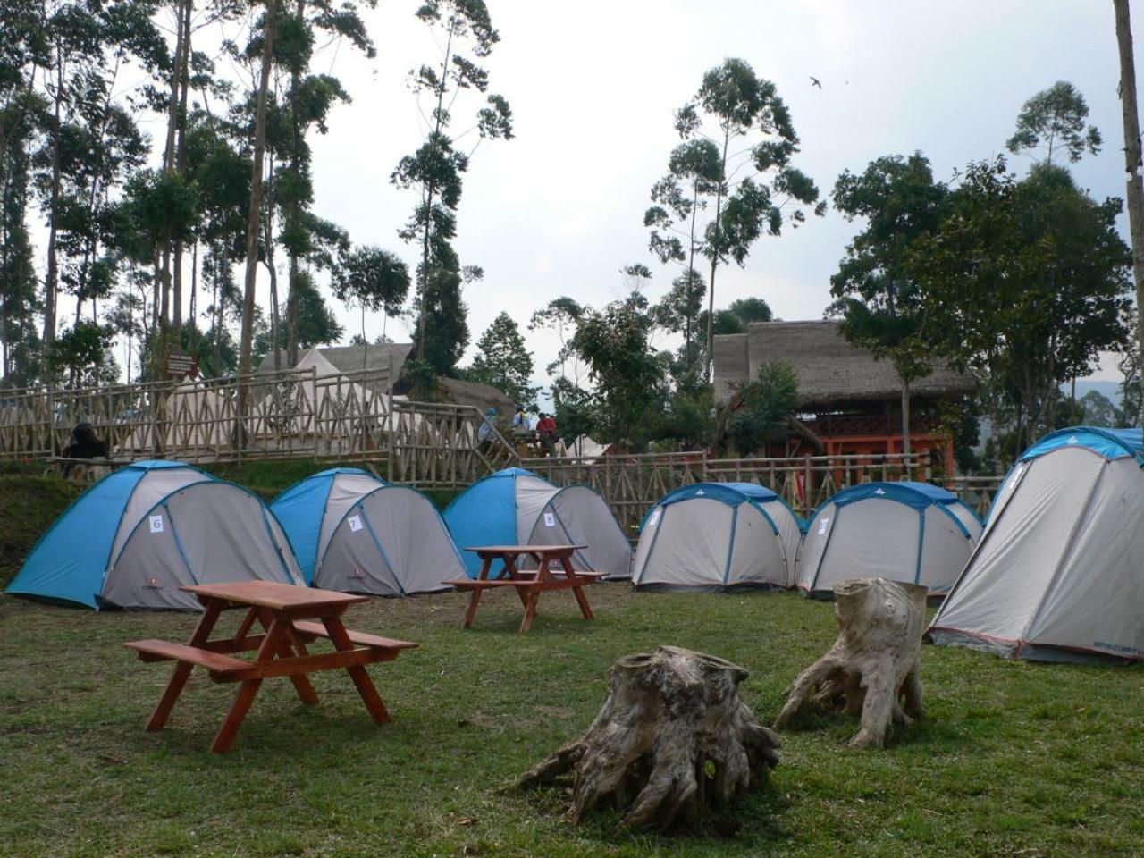 Perkemahan The Cabin Situ Cileunca Bandung